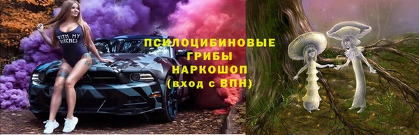 ECSTASY Пересвет
