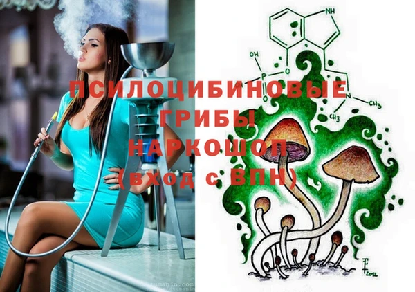 метадон Валдай
